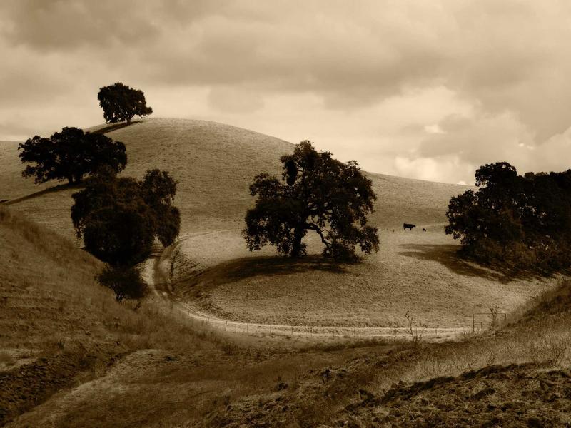 sudoku pro version screenshot 1