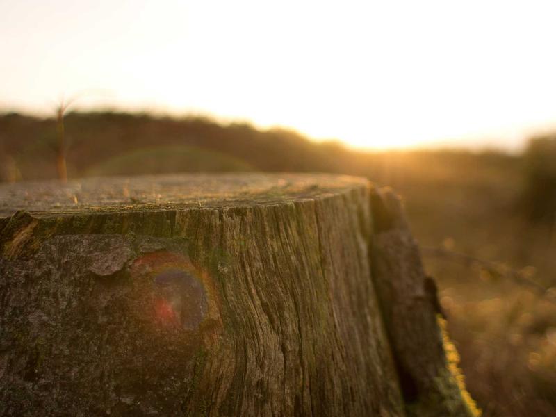 sudoku zen mode screenshot 6