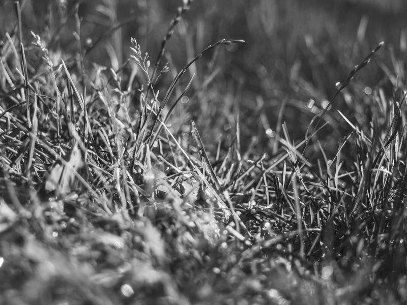 sudoku diagonal variant screenshot 2